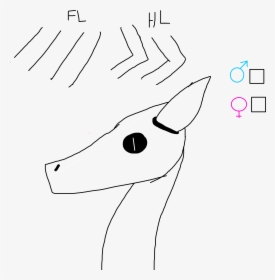 Sketch, HD Png Download, Free Download