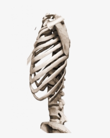 Heartless Png Picsart Manipulate, Transparent Png, Free Download