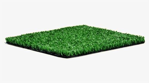 Champion Emerald Cricket Pitch 10mm - Artificial Turf, HD Png Download, Free Download