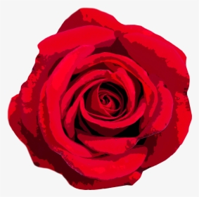 Rose Love Valentine"s Day Free Photo - National Flower Of United States Of America, HD Png Download, Free Download