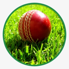 Cricket Wallpaper For Mobile, HD Png Download, Free Download