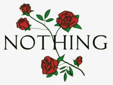 #editing #asset #roses #nothing #aesthetic #tumblr - Nothing Aesthetic, HD Png Download, Free Download