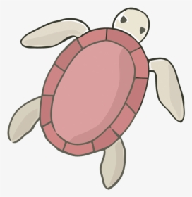 Sea Turtle Tortoise - Turtle, HD Png Download, Free Download