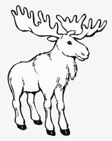 Transparent Elk Clipart Black And White - Moose Coloring Pages, HD Png Download, Free Download