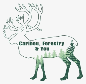 Caribou-xl, HD Png Download, Free Download