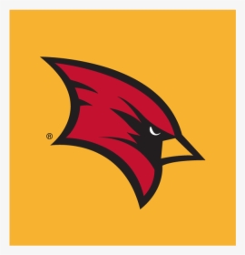 Saginaw Valley State University Mascot, HD Png Download, Free Download
