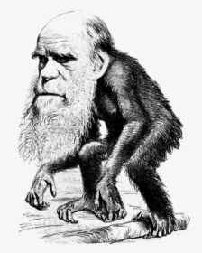 Charles Darwin, HD Png Download, Free Download