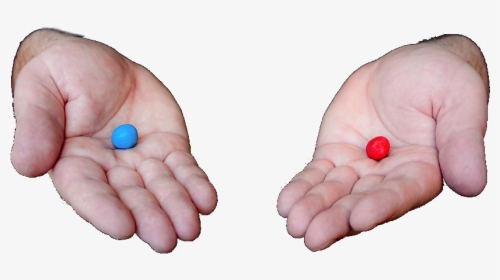 Blue Pill Or The Red Pill 259 Kb - Red Pill Blue Pill Png, Transparent Png, Free Download