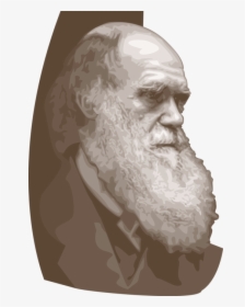 Vector Illustration Of Charles Darwin English Naturalist - Charles Robert Darwin, HD Png Download, Free Download