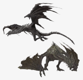 Dragon Wyvern Smaug Dark Souls The Elder Scrolls V - Dragon Dark Souls Png, Transparent Png, Free Download