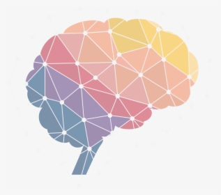 Neuroscience Png, Transparent Png, Free Download