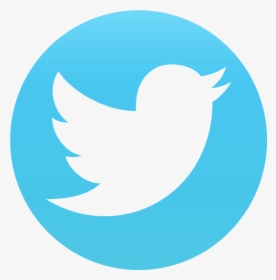 Pat Perez - Transparent Background Twitter Logo, HD Png Download, Free Download