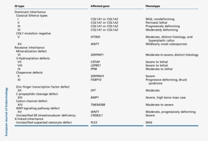 Classification Osteogenesis Imperfecta Type 8, HD Png Download, Free Download