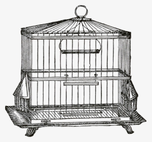 Graphics Fairy Birdcage Trans - Cage Clipart Transparent Background, HD Png Download, Free Download