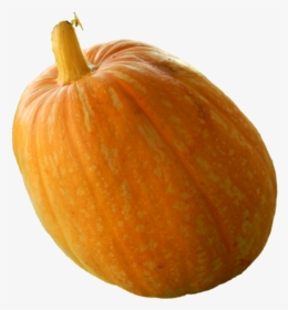 Download Real Pumpkin Png Transparent Image - Gourd Transparent, Png Download, Free Download