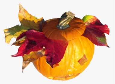 Pumpkin, Gourd, Harvest, Thanksgiving, Orange, Autumn - Pumpkin, HD Png Download, Free Download