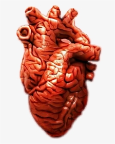 #heart #bloody #brain, HD Png Download, Free Download