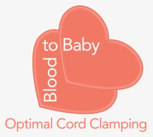 Optimal Cord Clamping - Windows Live Hotmail, HD Png Download, Free Download