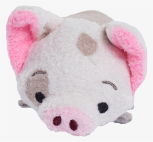 Domestic Pig, HD Png Download, Free Download