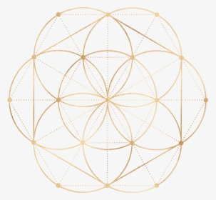 Circle, HD Png Download, Free Download