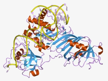 Pdb 2rfk Ebi - Illustration, HD Png Download, Free Download