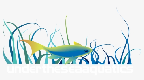 Under The Sea Aquatics - Under The Sea Png, Transparent Png, Free Download