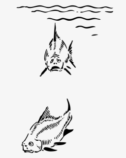 Fish Under The Sea Black White Line Art 555px - Under The Sea Clipart, HD Png Download, Free Download