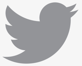 Twiter , Png Download - Twitter Sign, Transparent Png, Free Download