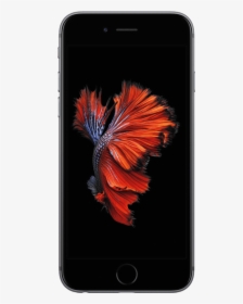 Iphones Png, Transparent Png, Free Download