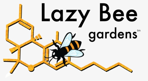Lazy Png, Transparent Png, Free Download