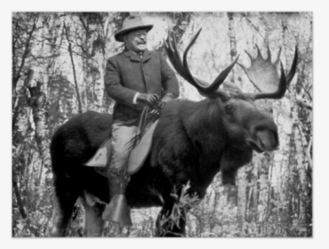 Teddy Roosevelt Riding A Bull Moose Posters - Teddy Roosevelt Riding A Bull Moose, HD Png Download, Free Download