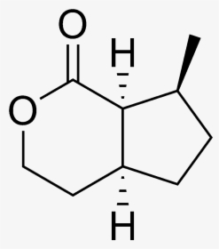 Onikulactone Chemical Structure - Thieno 2 3 D Pyrimidine, HD Png Download, Free Download