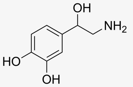 Norepinephrine Structure - Norepinephrine Png, Transparent Png, Free Download