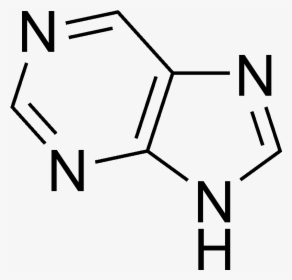 Purine Structure - Norharmane, HD Png Download, Free Download