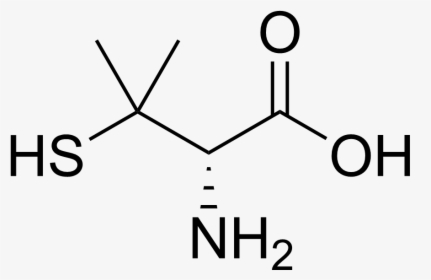 Penicillamine Structure - D Cysteine, HD Png Download, Free Download