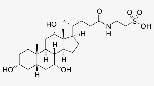 Taurocholic Acid Structure - Taurochenodeoxycholic Acid, HD Png Download, Free Download
