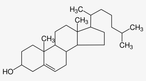 Cholestérol Structure, HD Png Download, Free Download