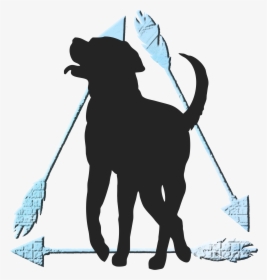 Cat Dog Pet Mammal Leash - Dog, HD Png Download, Free Download