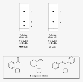 Diagram, HD Png Download, Free Download