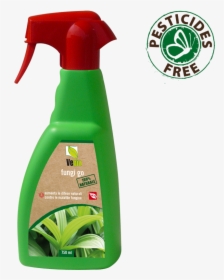 Fungi Go - Lumago Rtu, HD Png Download, Free Download