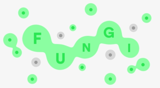 Circle, HD Png Download, Free Download