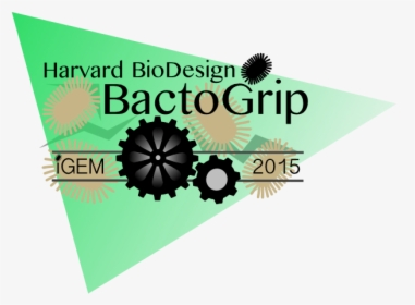 Harvard Logo - Graphic Design, HD Png Download, Free Download