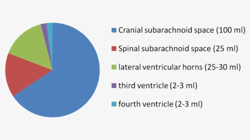 Amount And Constitution Of Cerebrospinal Fluid, HD Png Download, Free Download