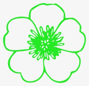 Green Buttercup Svg Clip Arts - Flowers With No Color, HD Png Download, Free Download