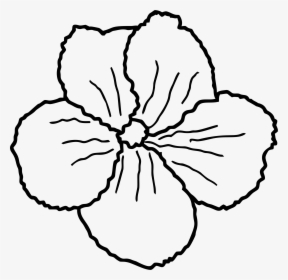 Flower Line Art Clip Arts - Sketch, HD Png Download, Free Download