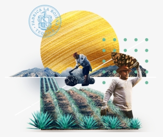 Field - Illustration, HD Png Download, Free Download