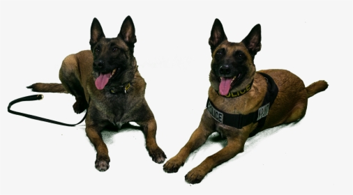These Include But Are Not University Of Michigan Police - K9 Dogs Png, Transparent Png, Free Download