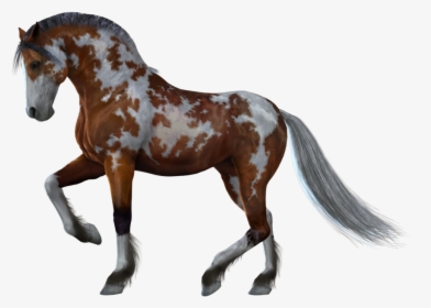 Horse Clipart Png Download, Transparent Png, Free Download