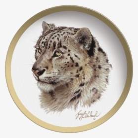 Snow Leopard Head, HD Png Download, Free Download