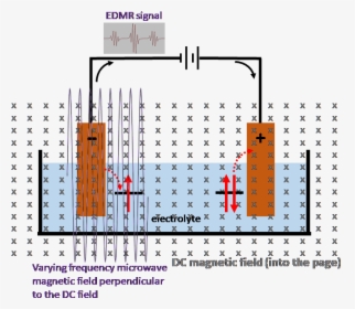 Edmr Set Up To Measure The Electrode Process Of An, HD Png Download, Free Download